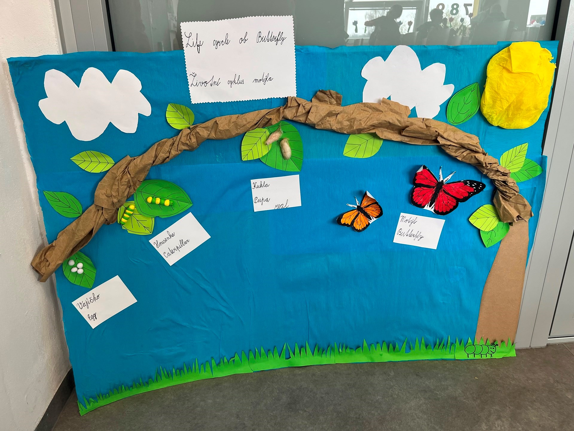 Motýl - projekt ČSP