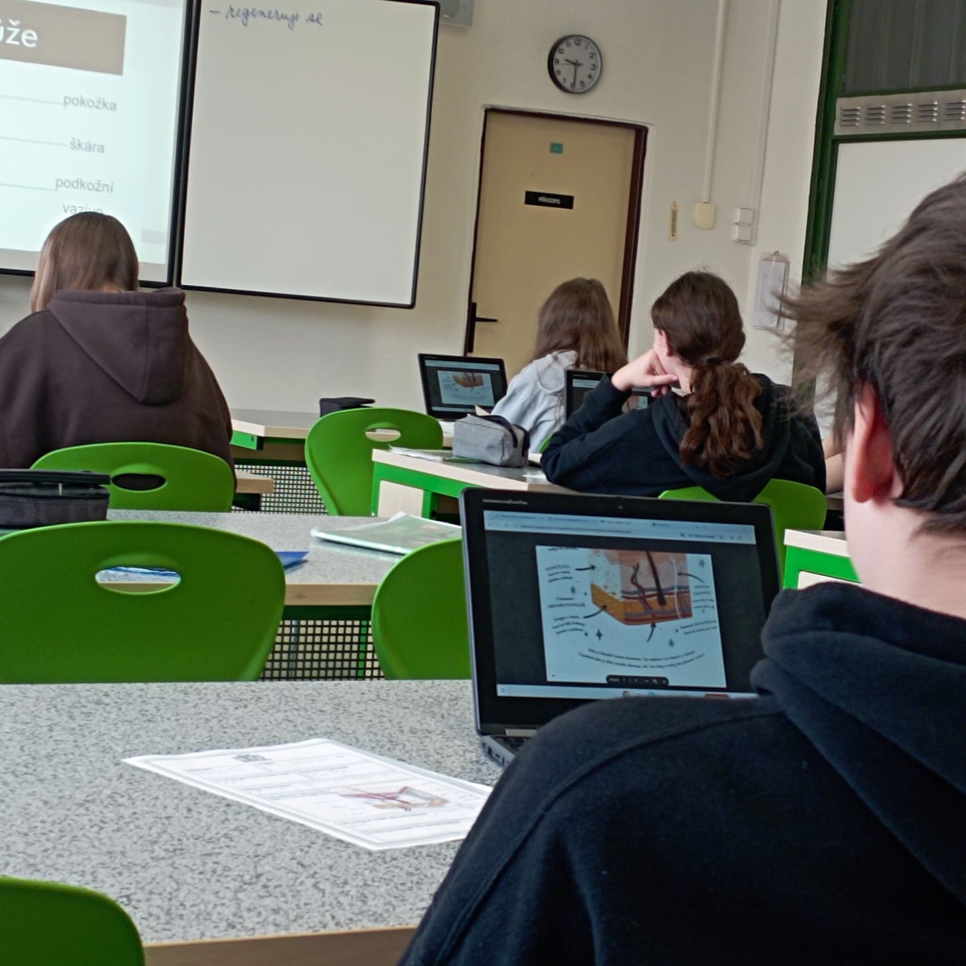 Otevřené hodiny přírodopisu v 8. třídách