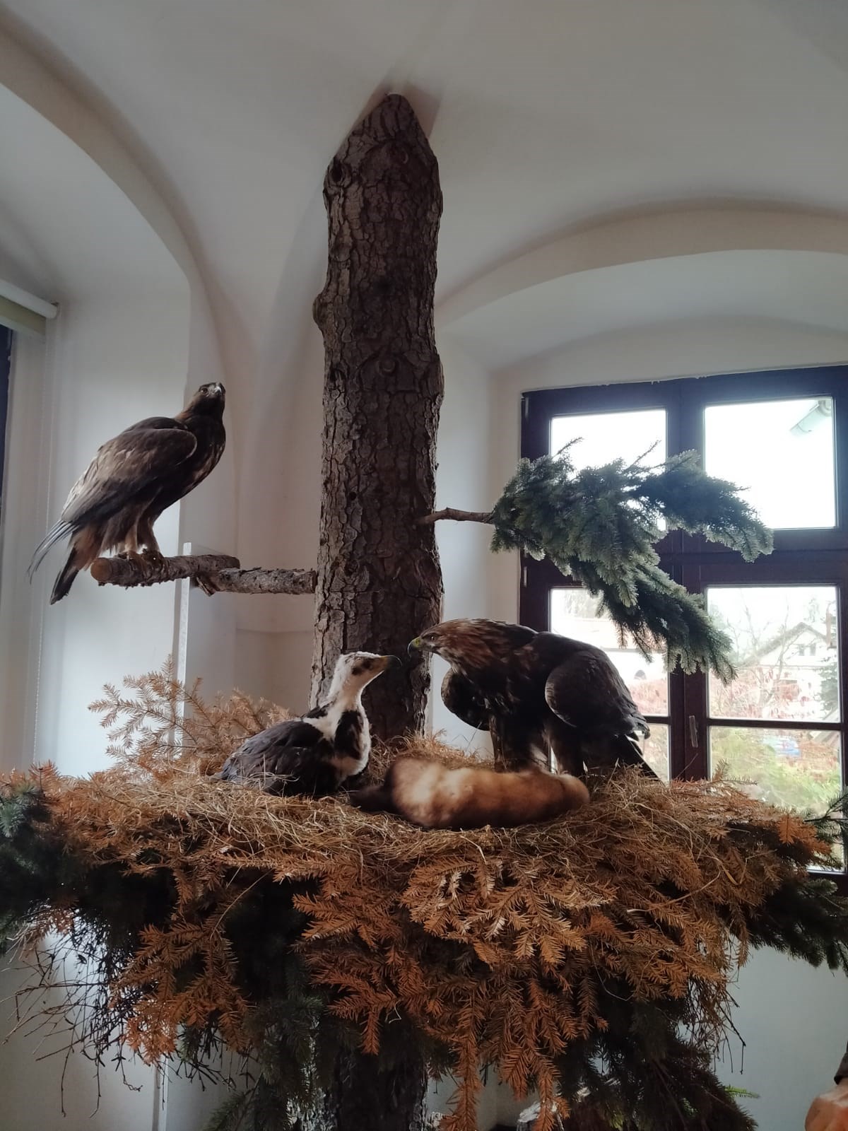 Záchranná stanice Bartošovice